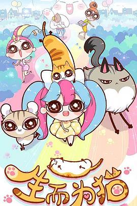 巢湖网站优化怎么选址